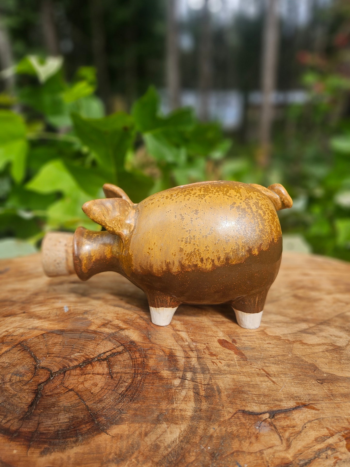 Brown Piggy Bank