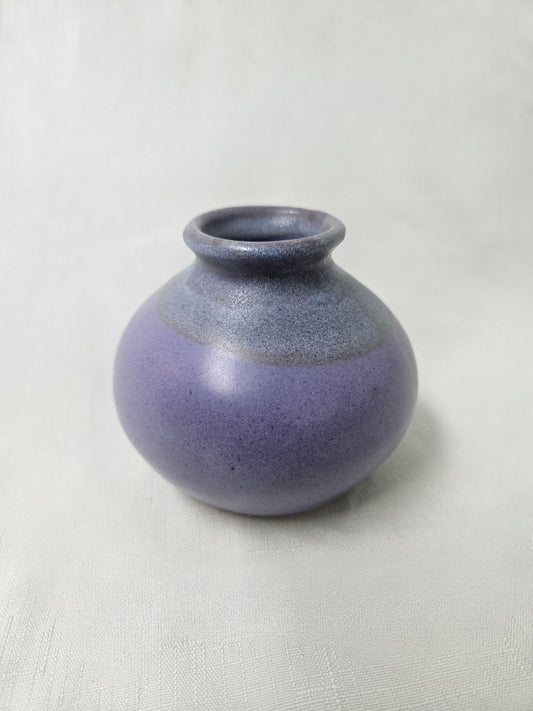 V28 - Purple Vase